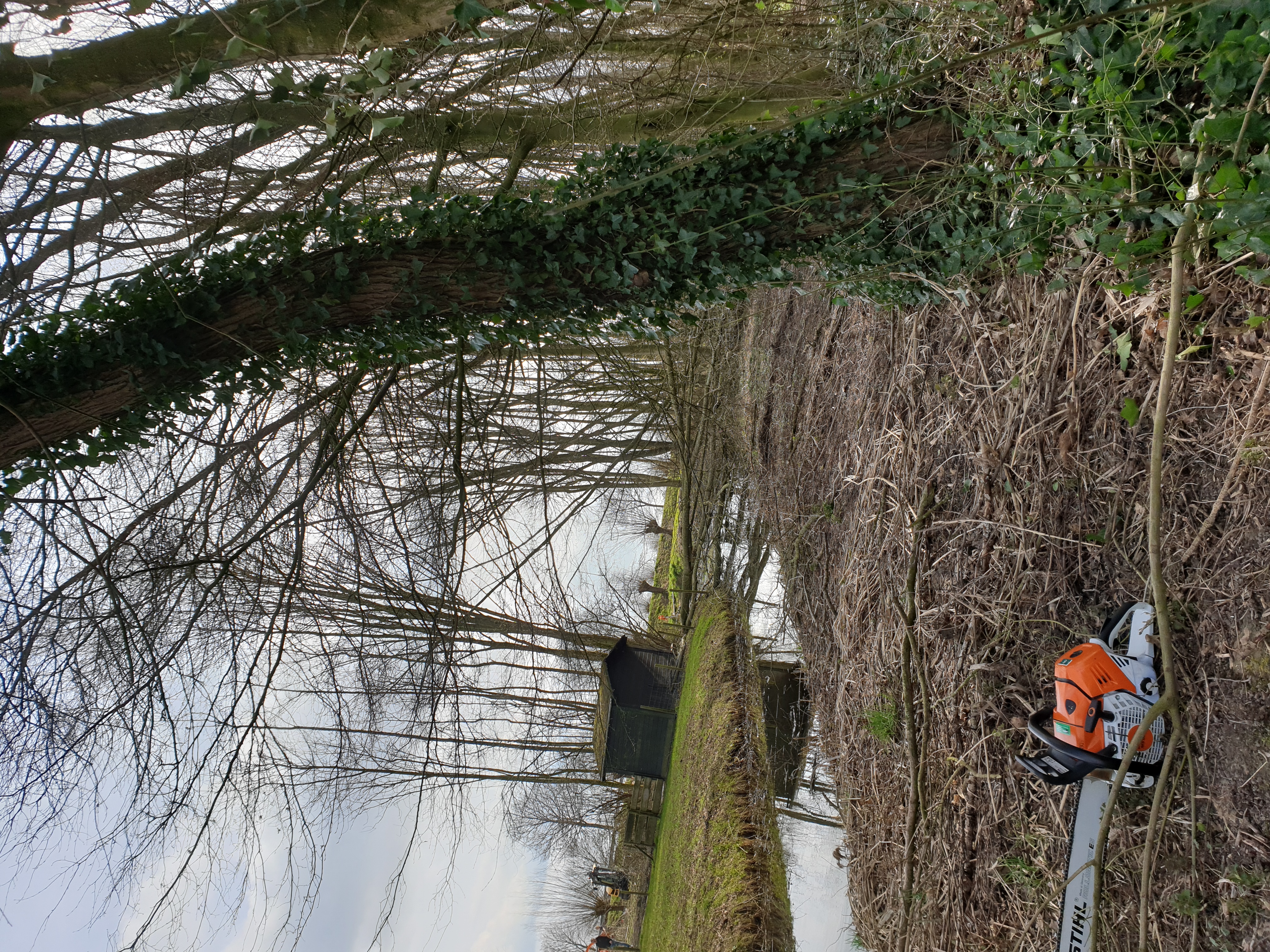 Groenwerkzaamheden langs sloot
