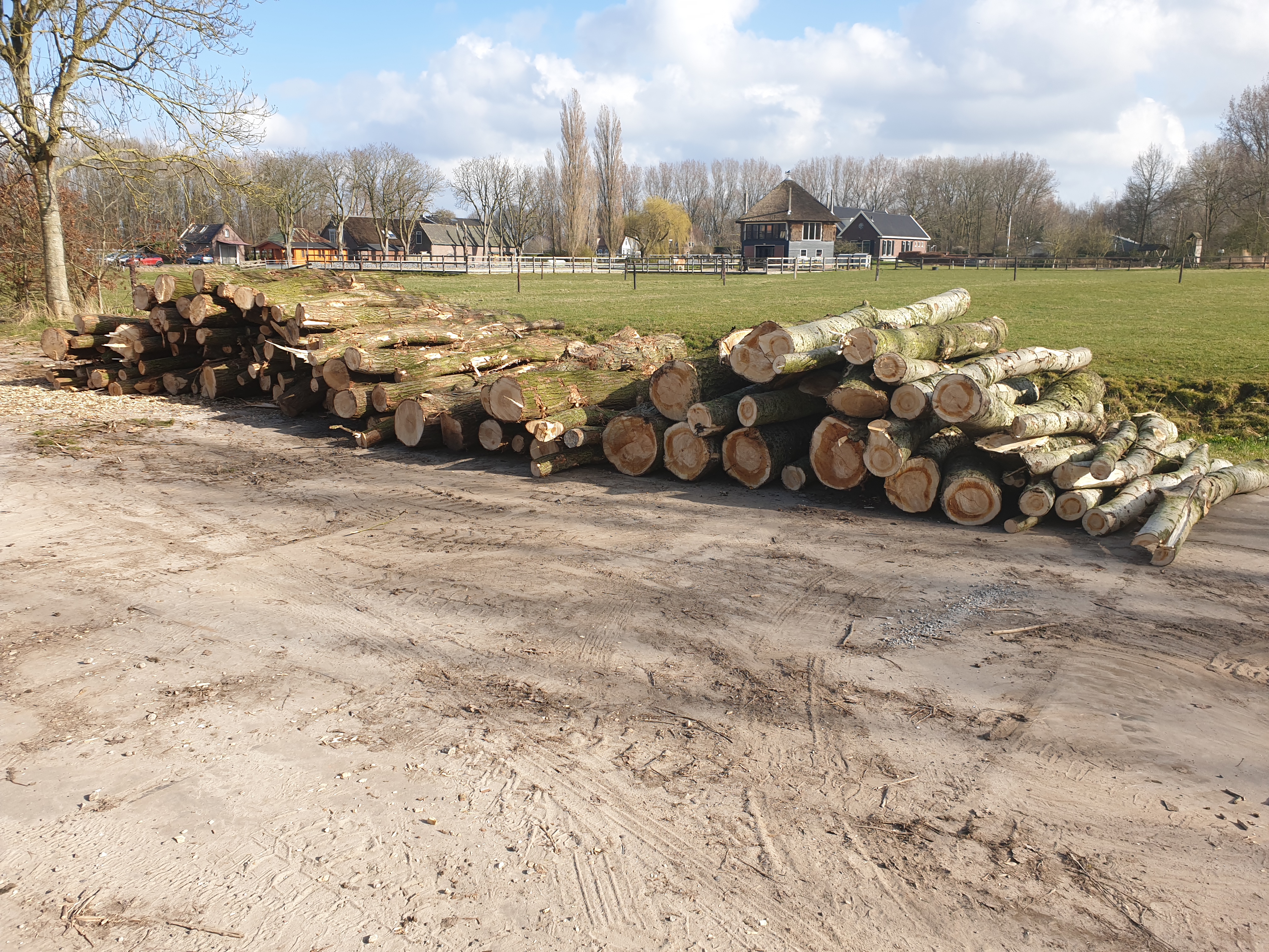 Gekapt hout