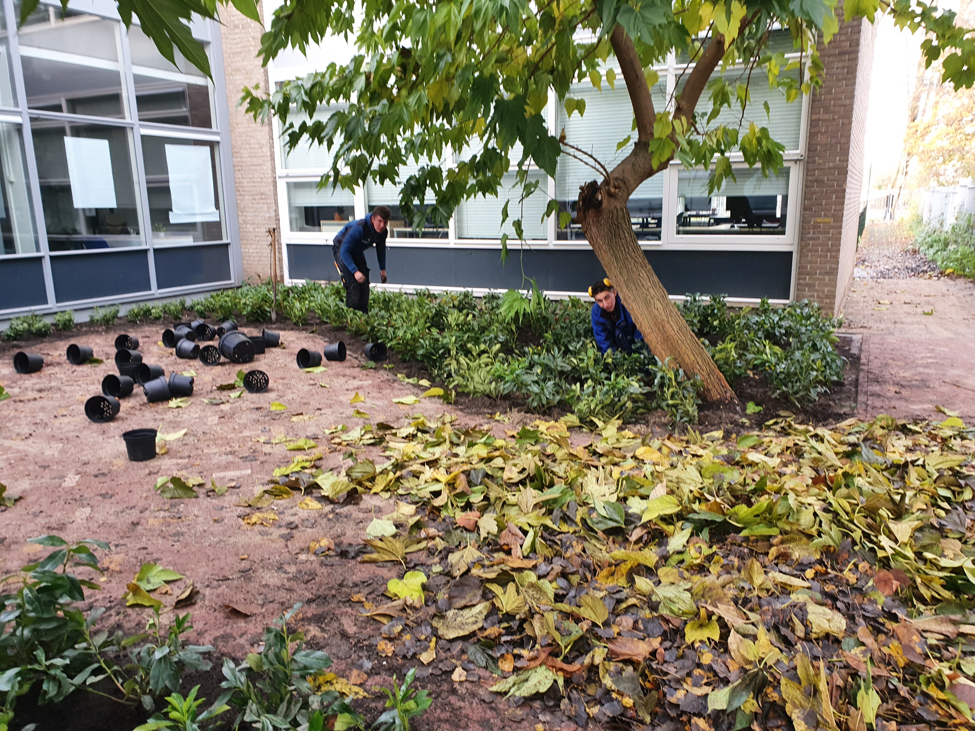 Onderhoud aan tuin, verwijderen oude bladen, poten nieuwe planten.