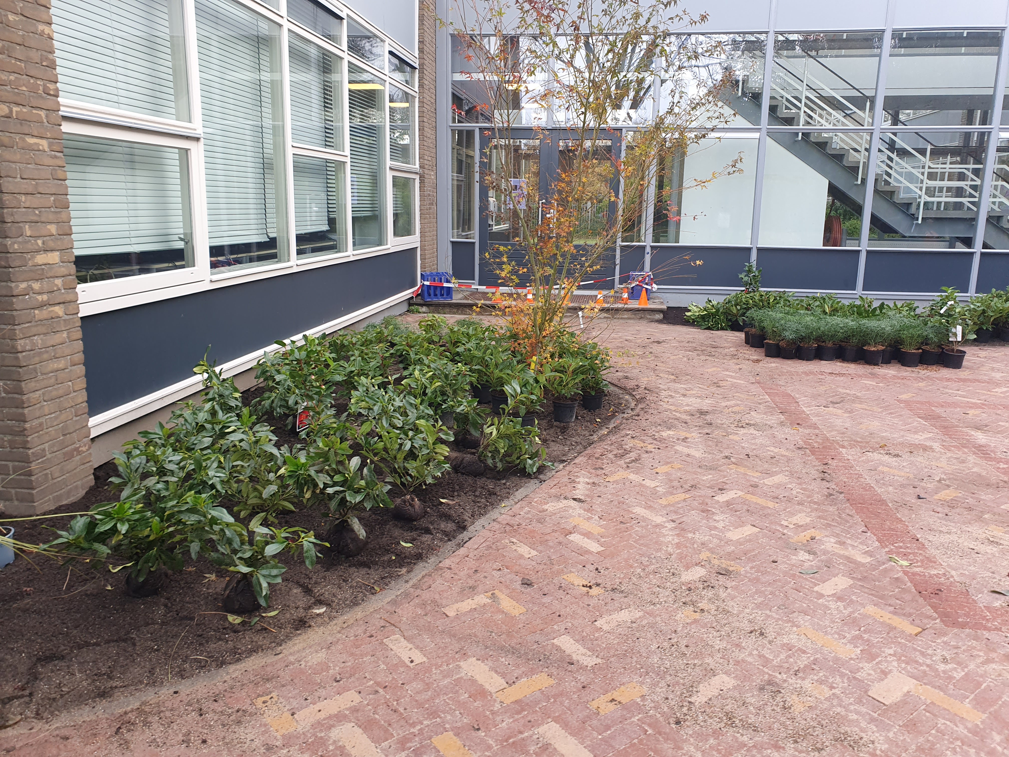 Poten nieuwe planten