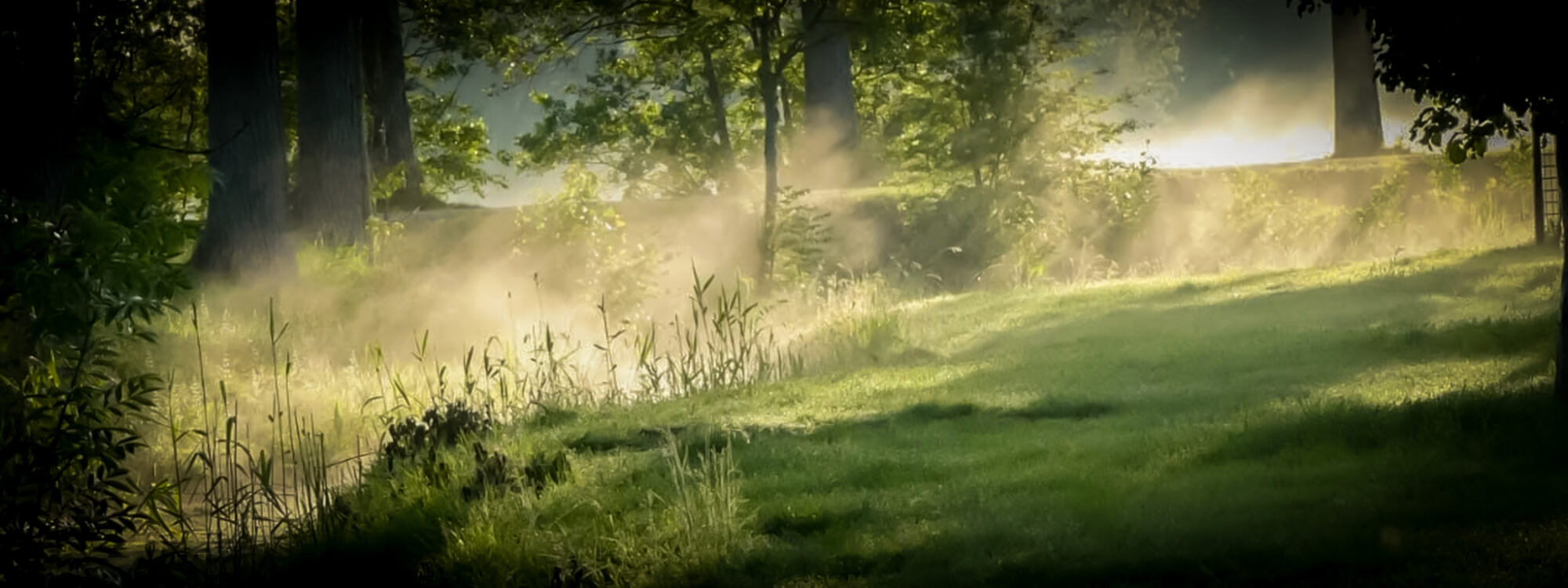 Genieten van uw tuin? neem contact op met Van Dijk Buitenruimte